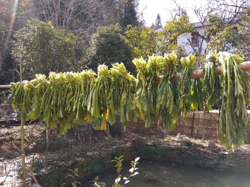 梅干菜农家地里种的雪里蕻腌制纯手工，无添加安全妈妈做的