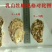生蚝1两以下自家养殖加工小生蚝批发小包装
