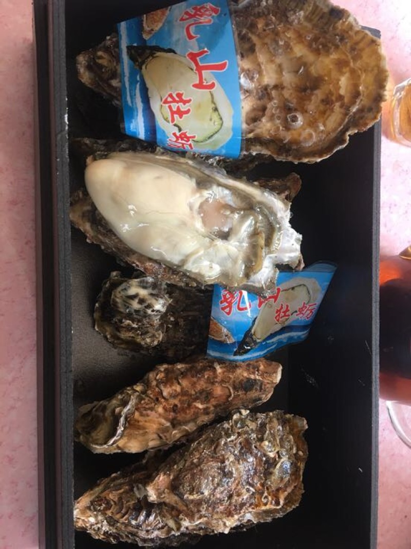 生蚝1两以下自家养殖加工小生蚝批发小包装