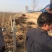 葡萄苗3年150~200cm