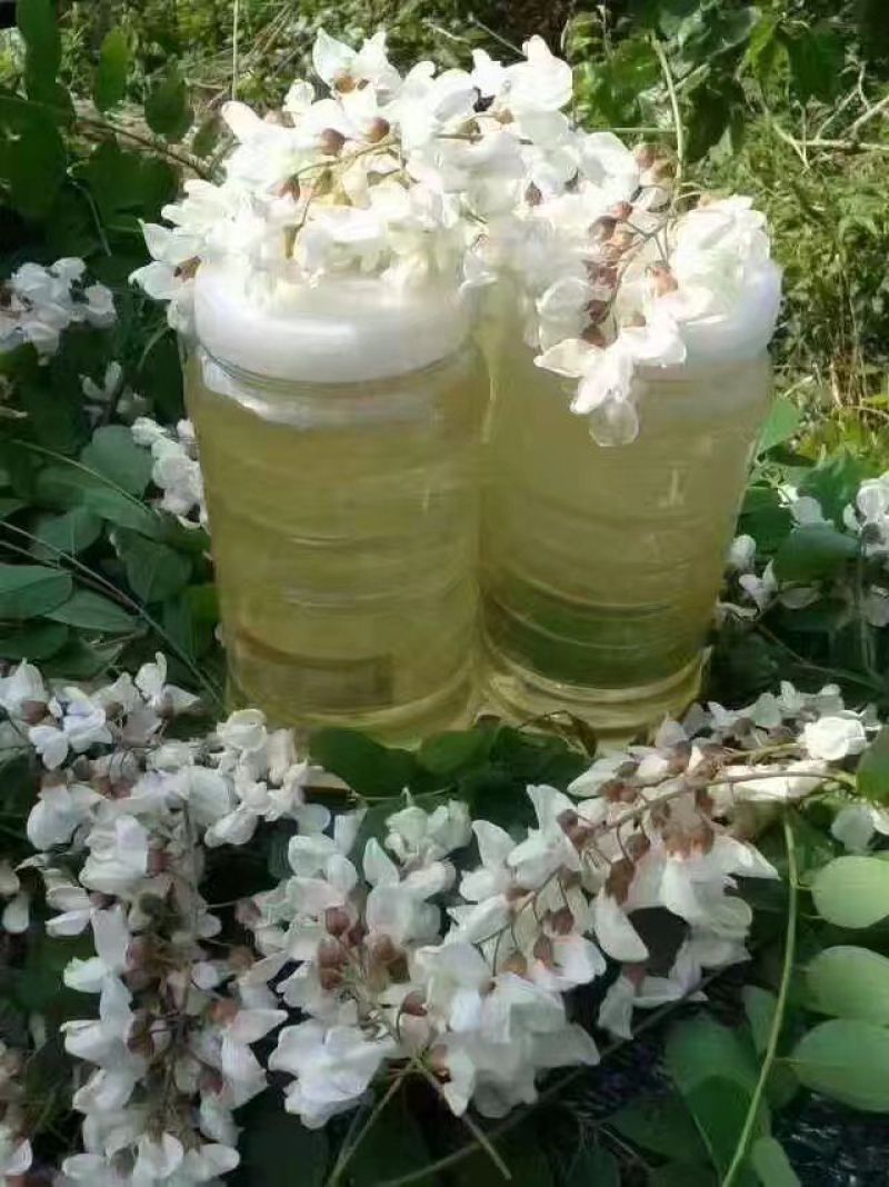 槐花蜜2斤