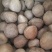 高种椰子印度椰王干果120g