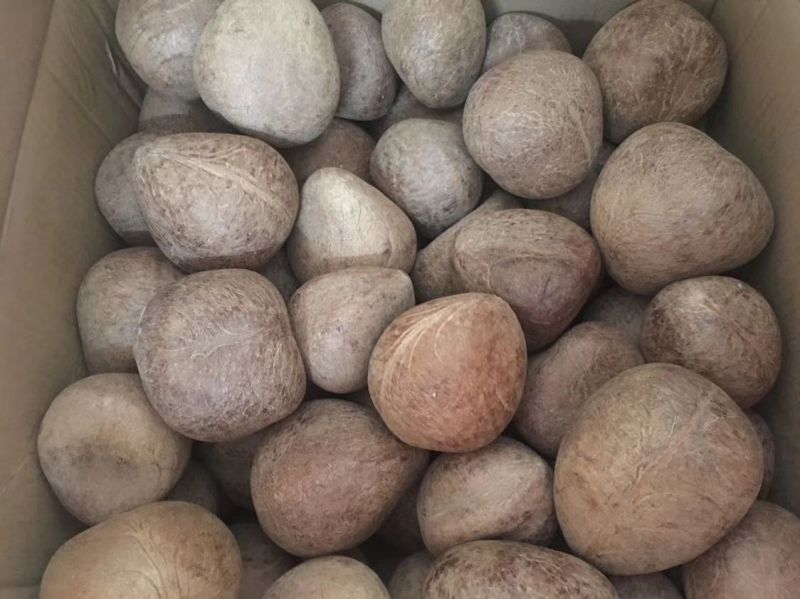 高种椰子印度椰王干果120g