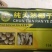 高种椰子印度椰王干果120g