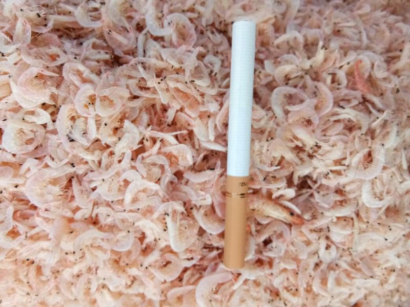 虾皮一级浙江产地自己加工，一手货源没有中间商赚差价