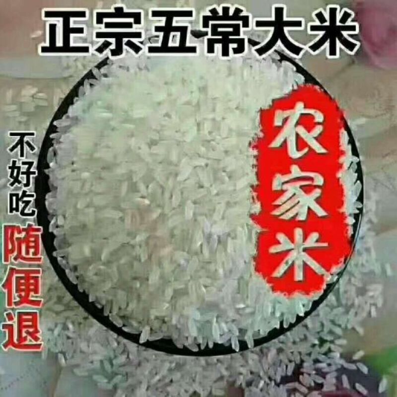 稻花香2号大米新米特级