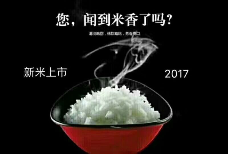 稻花香2号大米新米特级