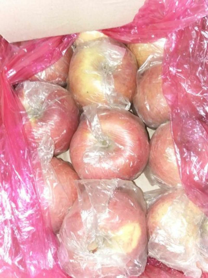 红富士苹果75mm以上膜袋