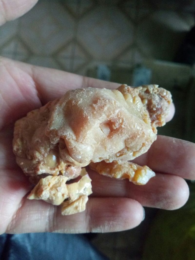阿魏臭阿魏钓鱼好诱饵干货散装100克起包邮