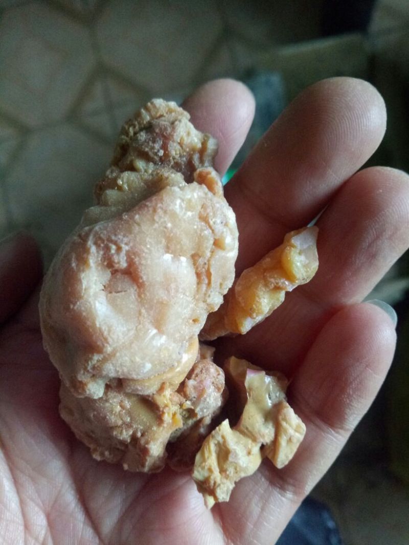 阿魏臭阿魏钓鱼好诱饵干货散装100克起包邮