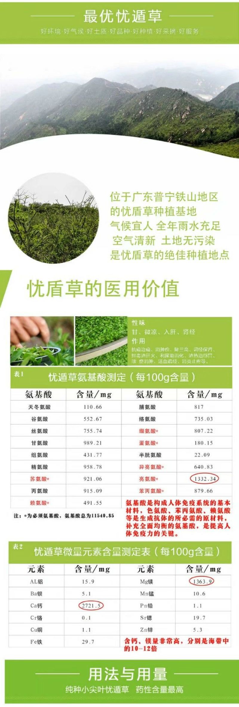 忧遁草