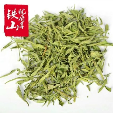 忧遁草