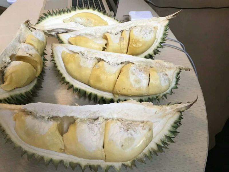金枕头榴莲3~5斤