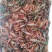 龙虾21~25只/kg