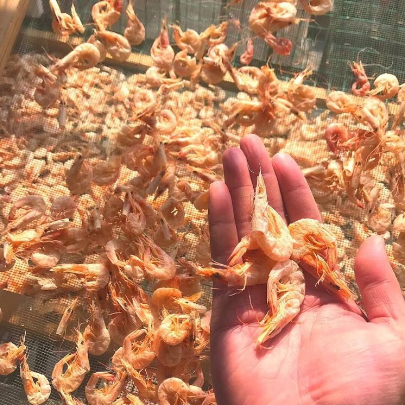 干虾