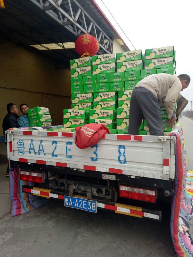 皇冠梨精品礼盒装，彩箱装，一手货源，价格美丽