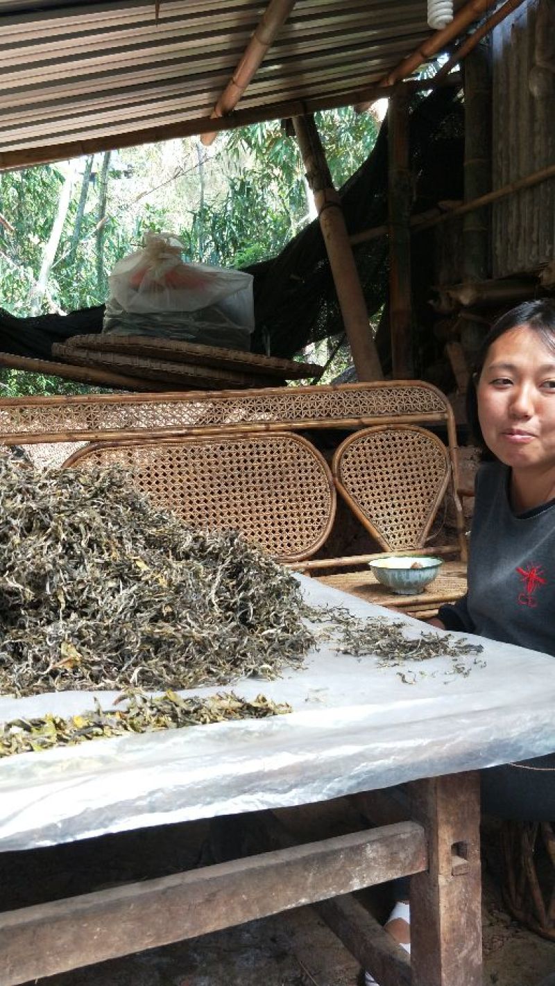 普洱茶一级