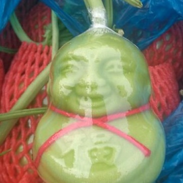 人参果