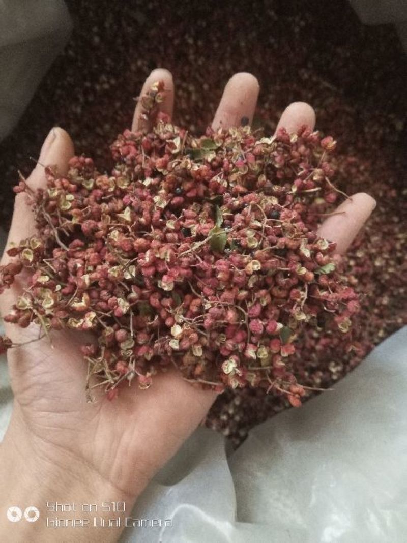 大红袍花椒韩城大红袍花椒。带枝