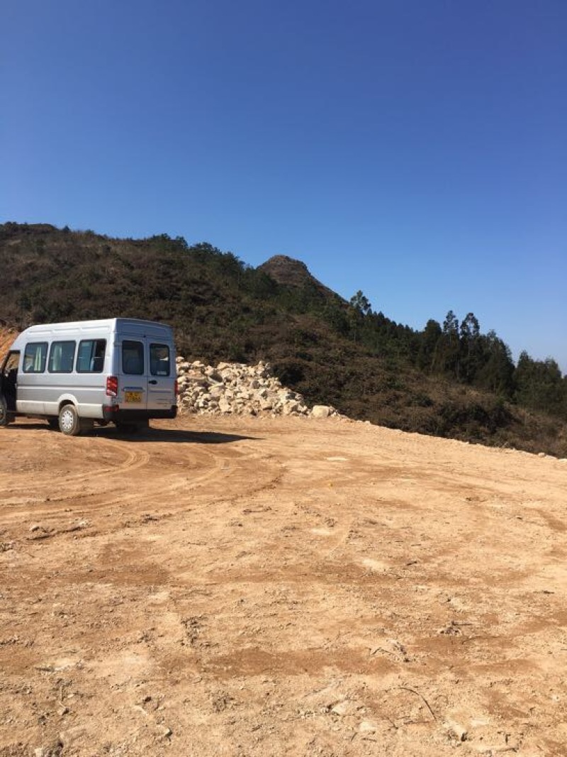 血毛土鸡公母6到12月以上