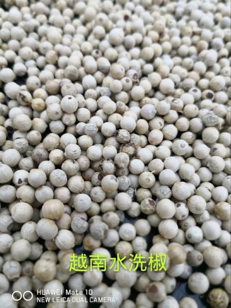 黑胡椒散装