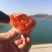 柿饼1两以下