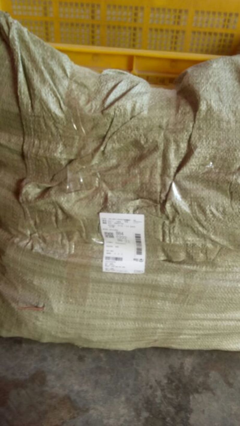 八棱海棠苗30~40cm