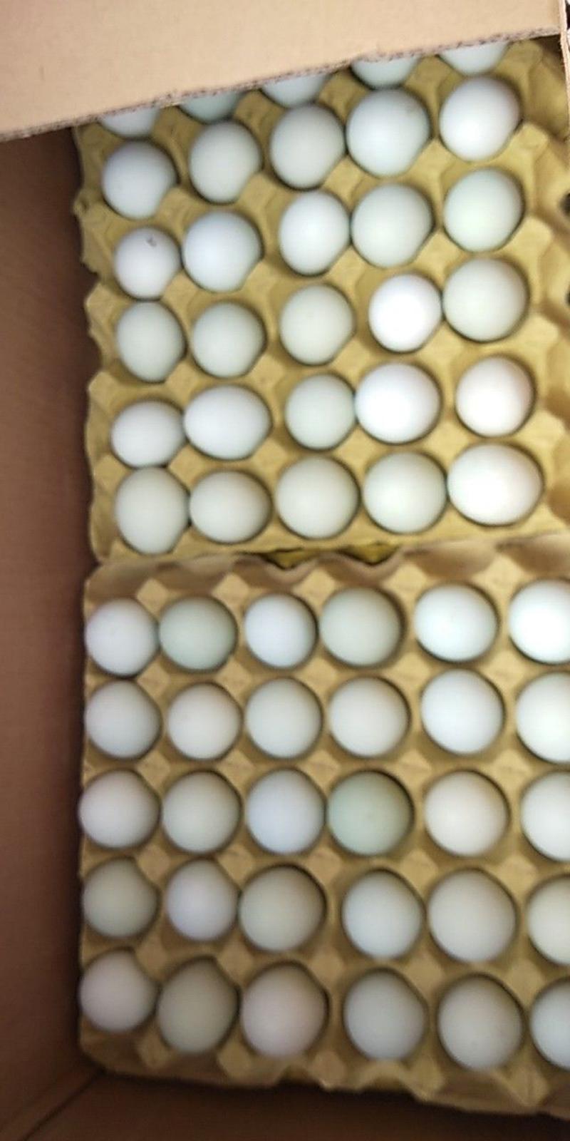 绿壳鸡蛋食用50g以下