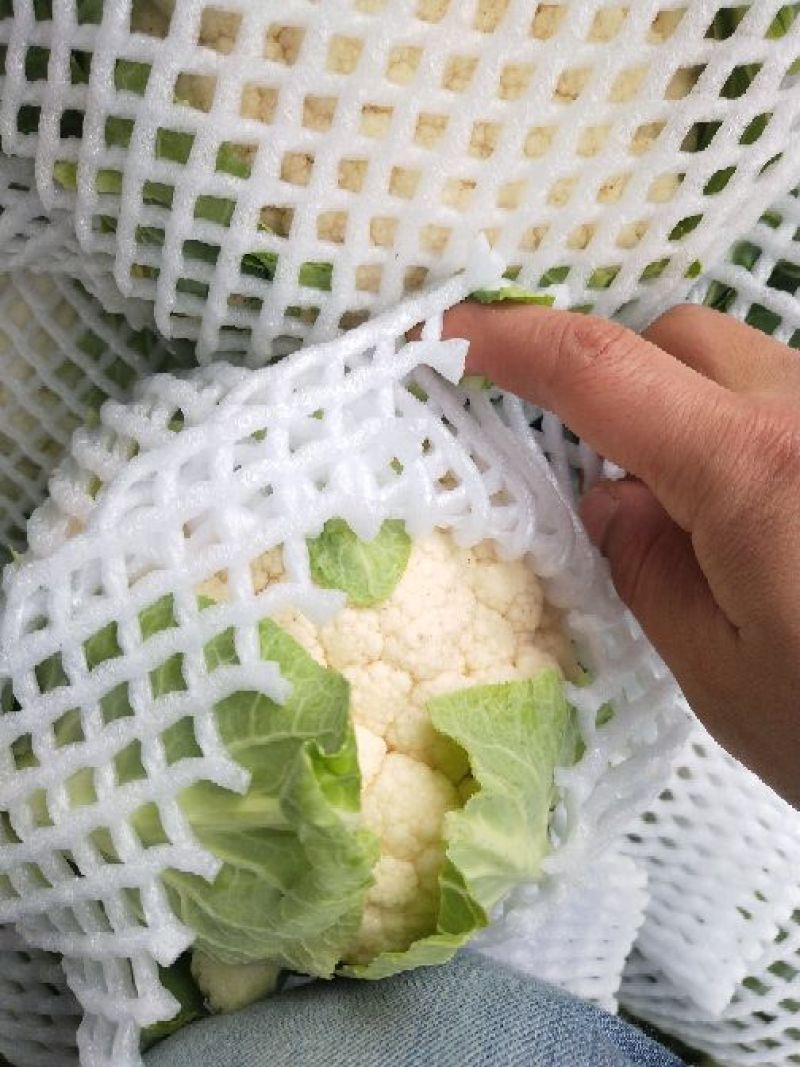 湖北菜花2~3斤紧花乳白产地直供，按客户要求打包上车