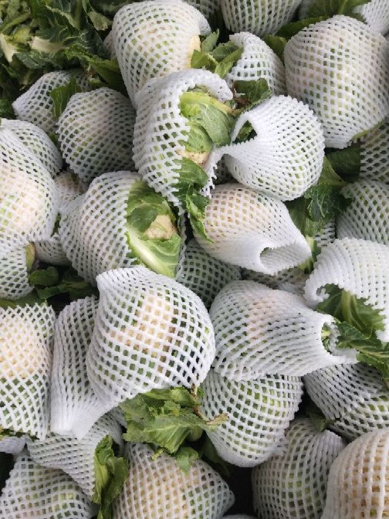 湖北菜花2~3斤紧花乳白产地直供，按客户要求打包上车