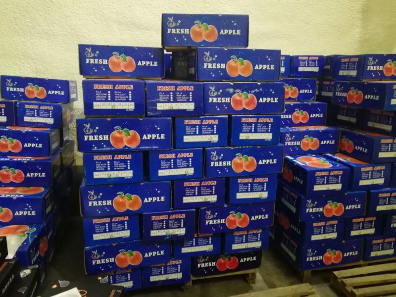 酥梨300~350g纸箱