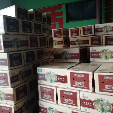 酥梨300~350g纸箱