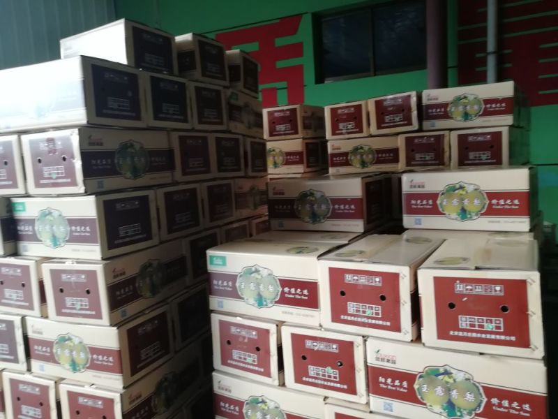 酥梨300~350g纸箱