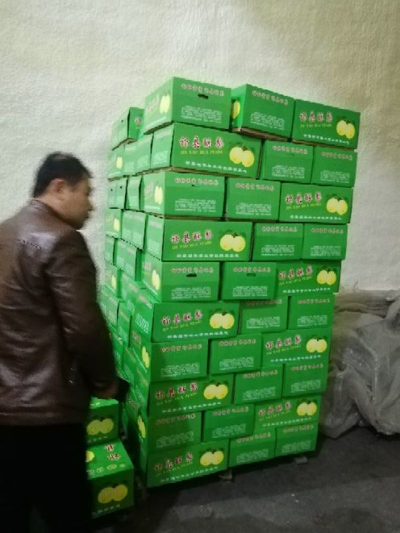 酥梨300~350g纸箱