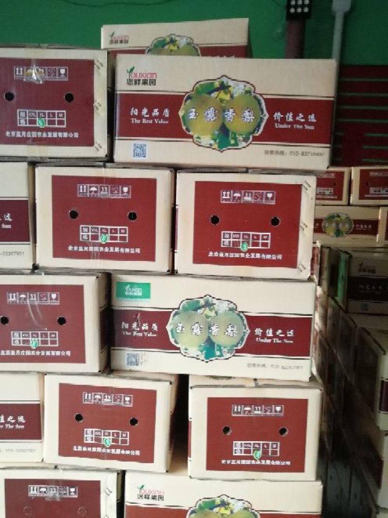 酥梨300~350g纸箱