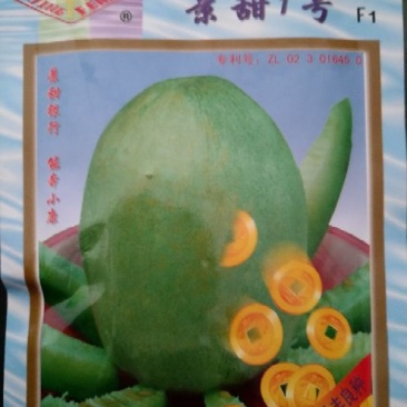甜瓜种子