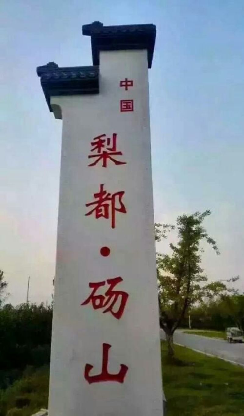 皇冠梨300~350g纸箱