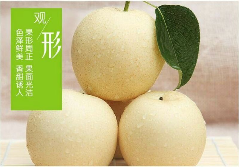 皇冠梨300~350g纸箱