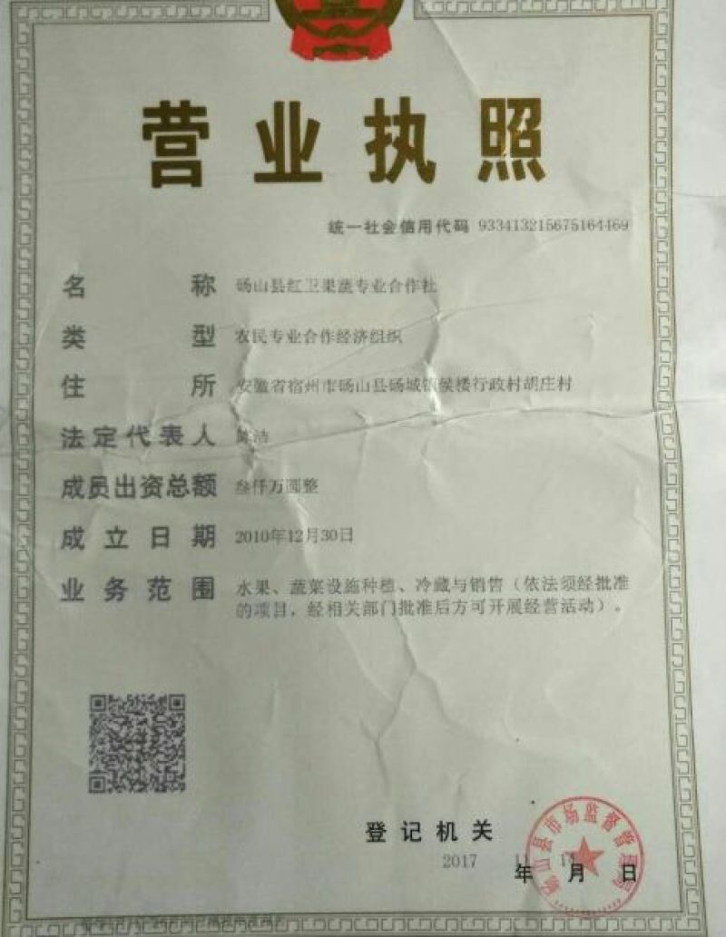 阳光玫瑰葡萄苗，一年苗30~50cm，保证纯度假一赔十