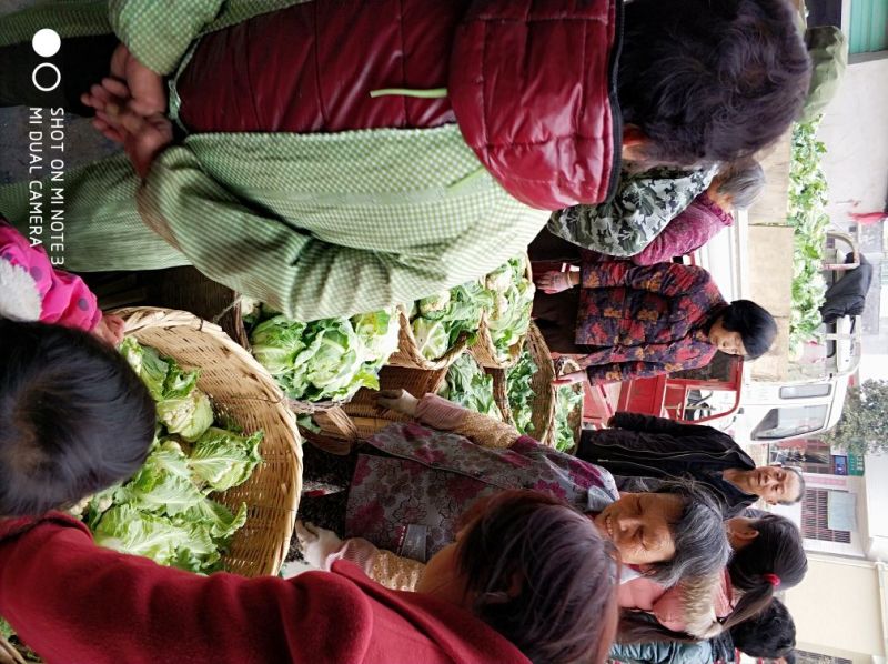 光头白花菜花精品光头紧花现货乳白色产地直供一手