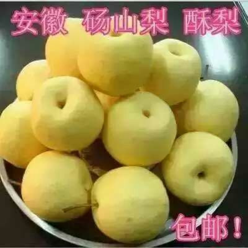 酥梨光果500~550g
