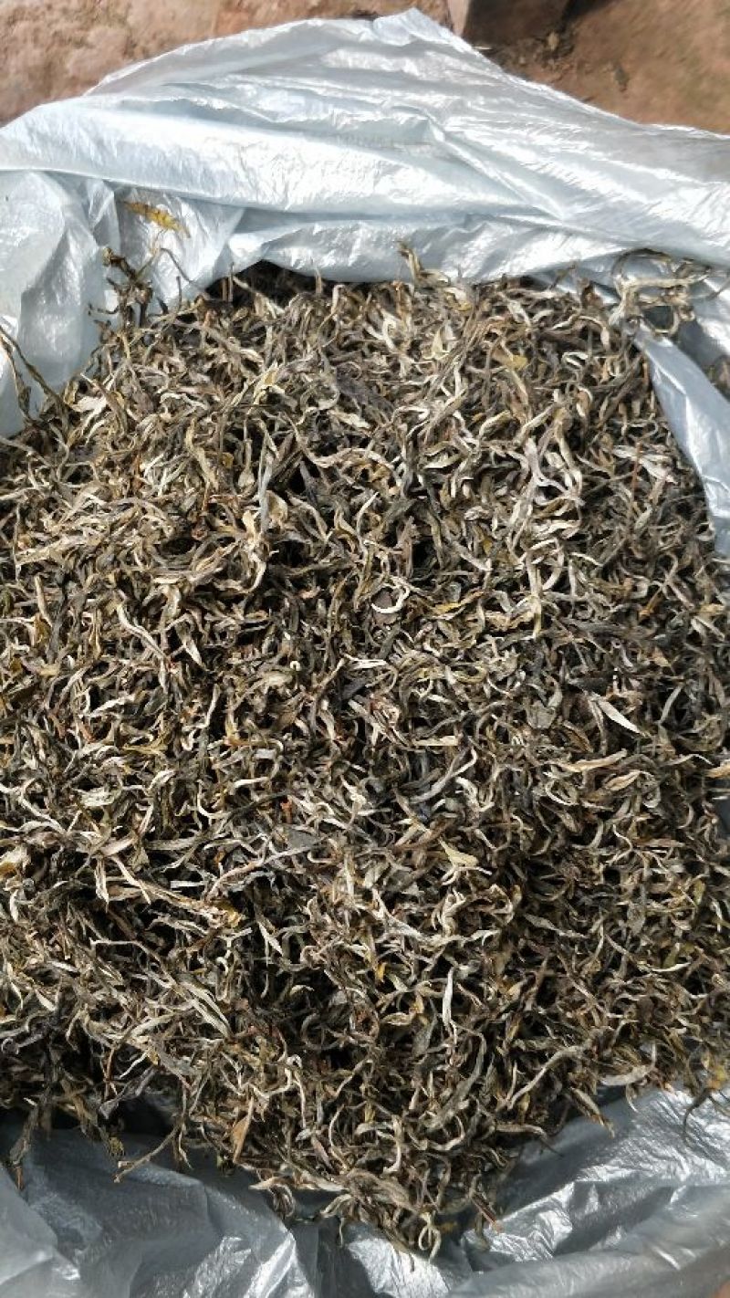普洱茶一级