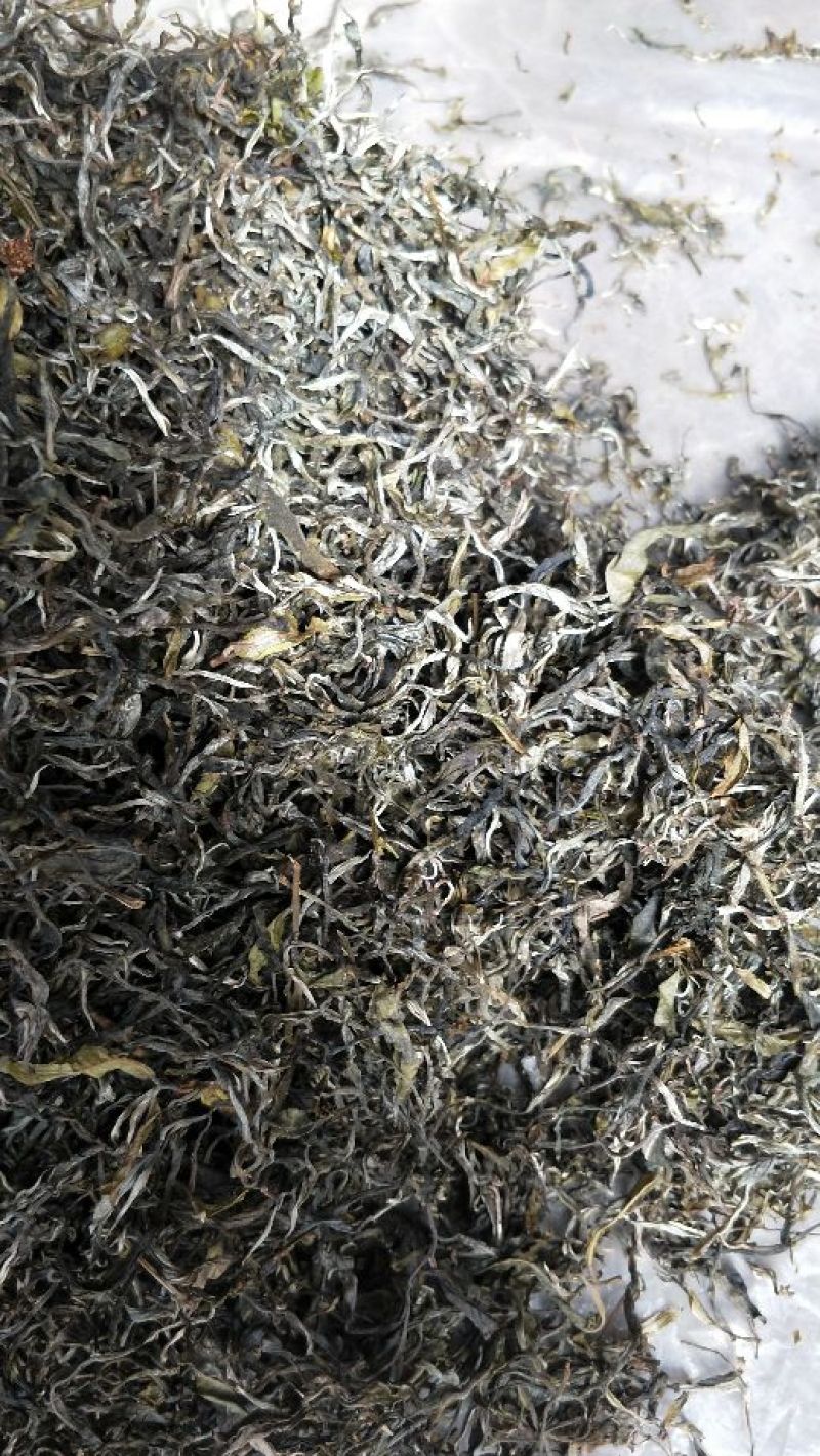 普洱茶一级