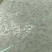 鲈鱼鱼苗加州鲈鱼鱼苗