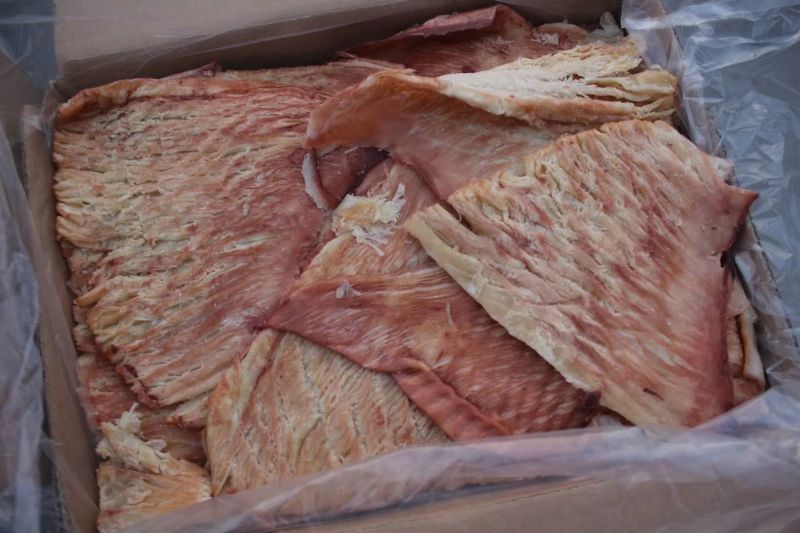 鱿鱼丝风琴鱿鱼丝