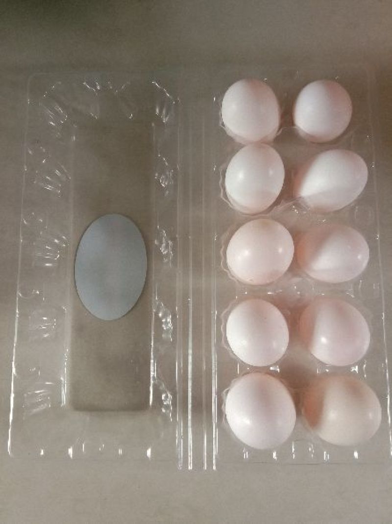 鸽子蛋食用