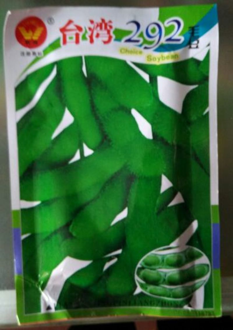 毛豆种子