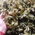 水煮笋干咸笋干
