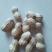 鲁花系列干货带壳