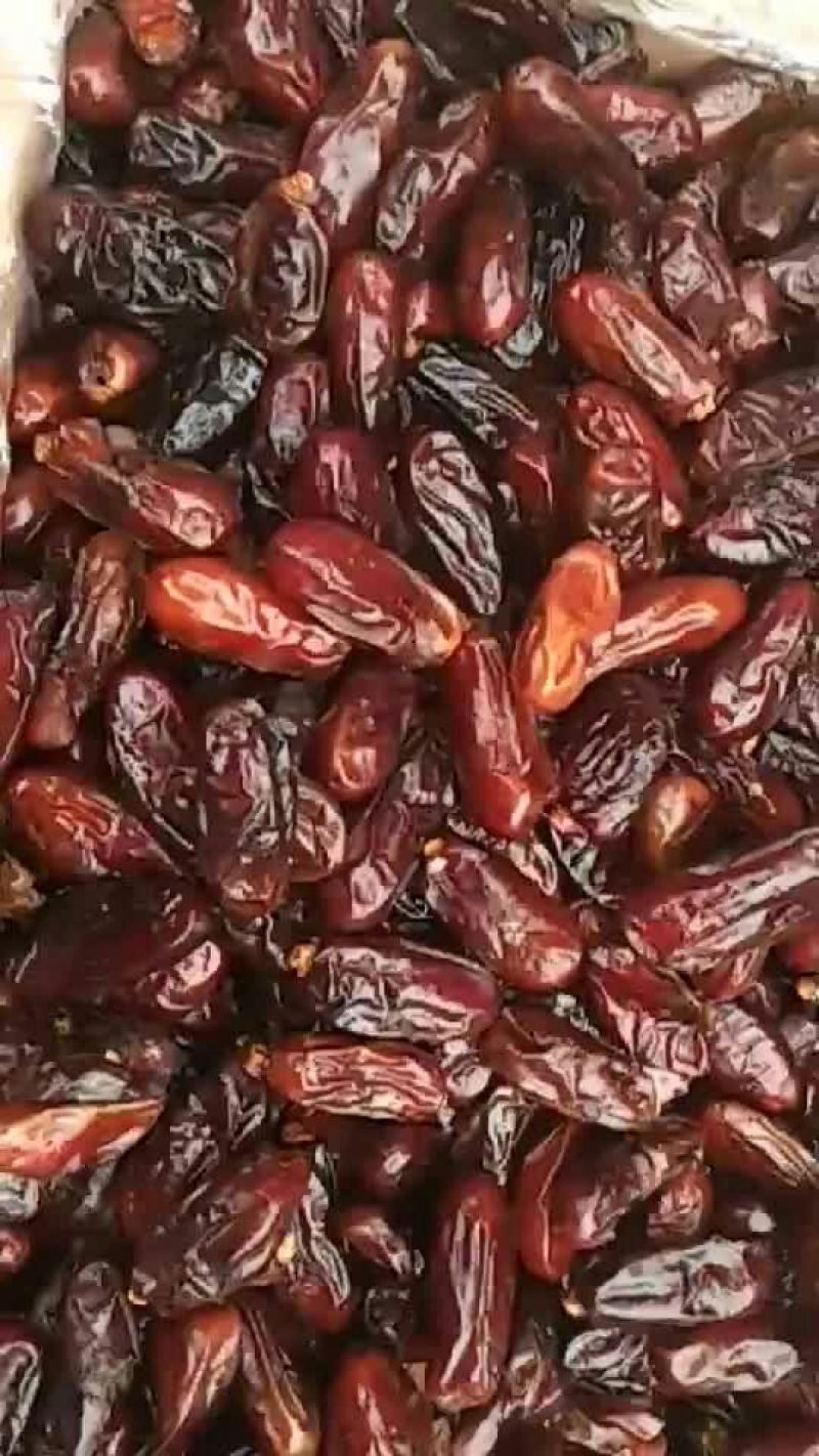 椰枣黑椰枣椰枣中的佼